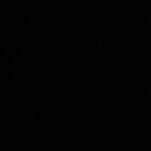 Meet your Posher, Mackenzie